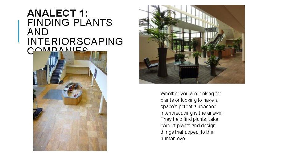 ANALECT 1: FINDING PLANTS AND INTERIORSCAPING COMPANIES Whether you are looking for plants or