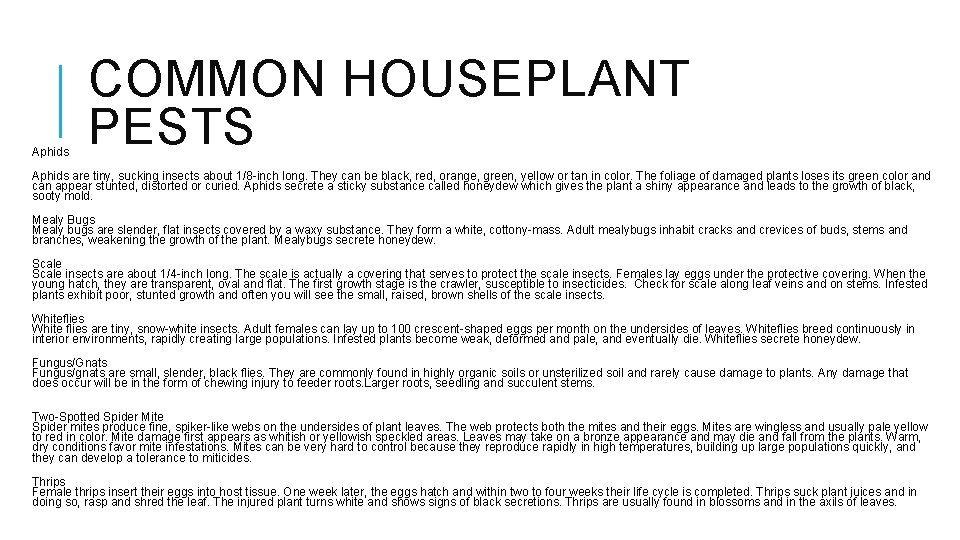 Aphids COMMON HOUSEPLANT PESTS Aphids are tiny, sucking insects about 1/8 -inch long. They