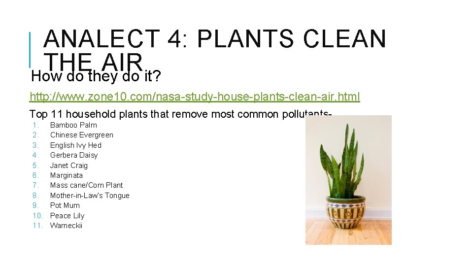 ANALECT 4: PLANTS CLEAN THE AIR How do they do it? http: //www. zone