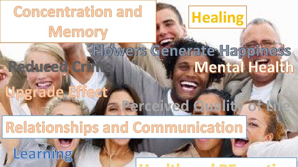 Concentration and Healing Memory Flowers Generate Happiness Reduced Crime Mental Health Upgrade Effect Perceived