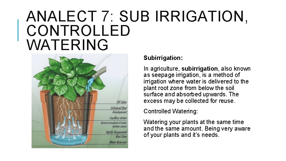 ANALECT 7: SUB IRRIGATION, CONTROLLED WATERING Subirrigation: In agriculture, subirrigation, also known as seepage