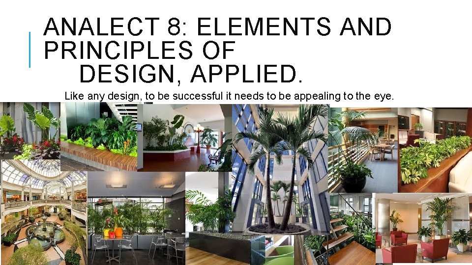 ANALECT 8: ELEMENTS AND PRINCIPLES OF DESIGN, APPLIED. Like any design, to be successful