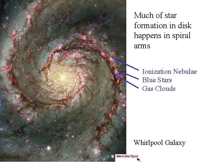 Much of star formation in disk happens in spiral arms Ionization Nebulae Blue Stars