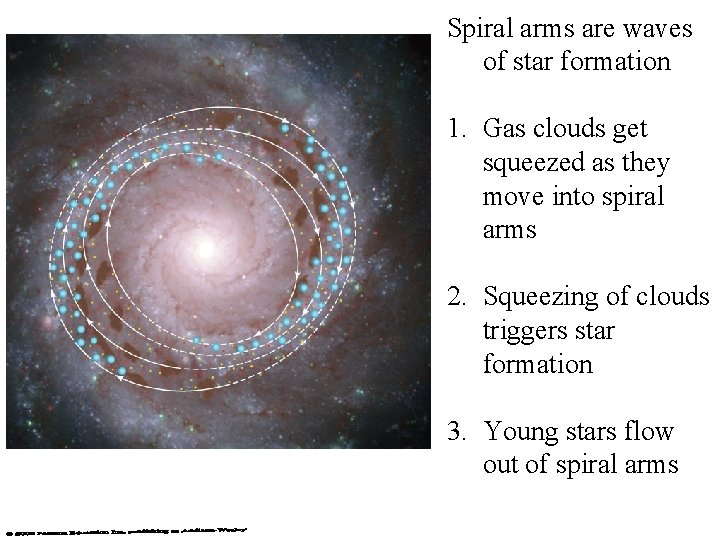Spiral arms are waves of star formation 1. Gas clouds get squeezed as they