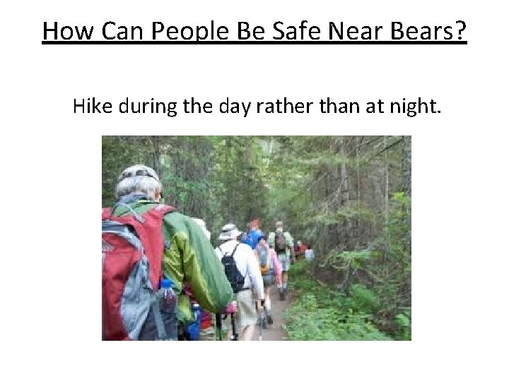 How Can People Be Safe Near Bears? Hike during the day rather than at