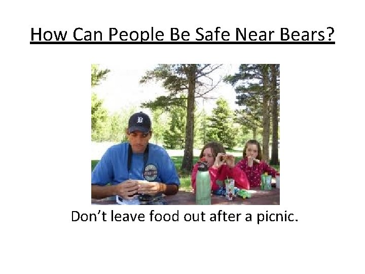 How Can People Be Safe Near Bears? Don’t leave food out after a picnic.