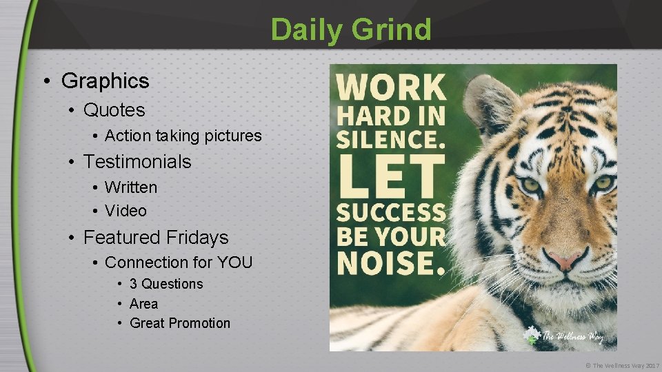 Daily Grind • Graphics • Quotes • Action taking pictures • Testimonials • Written