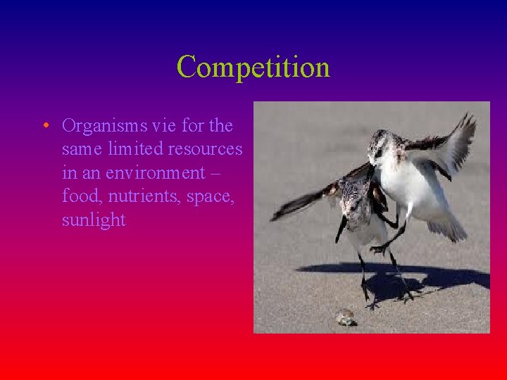 Competition • Organisms vie for the same limited resources in an environment – food,