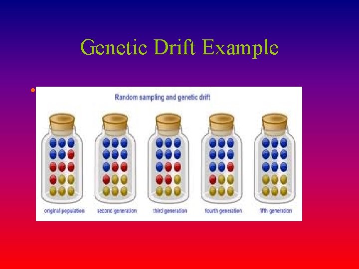 Genetic Drift Example • 