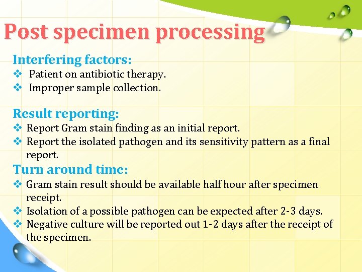 Post specimen processing Interfering factors: v Patient on antibiotic therapy. v Improper sample collection.