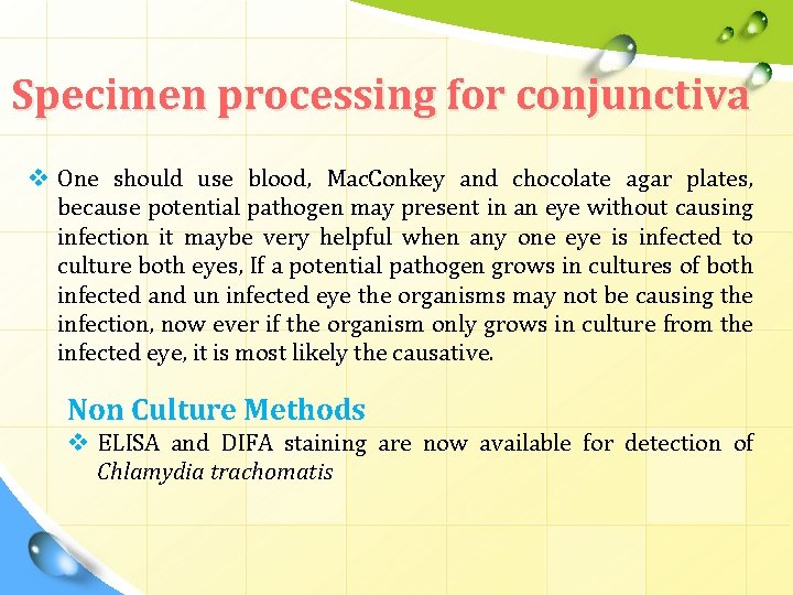 Specimen processing for conjunctiva v One should use blood, Mac. Conkey and chocolate agar