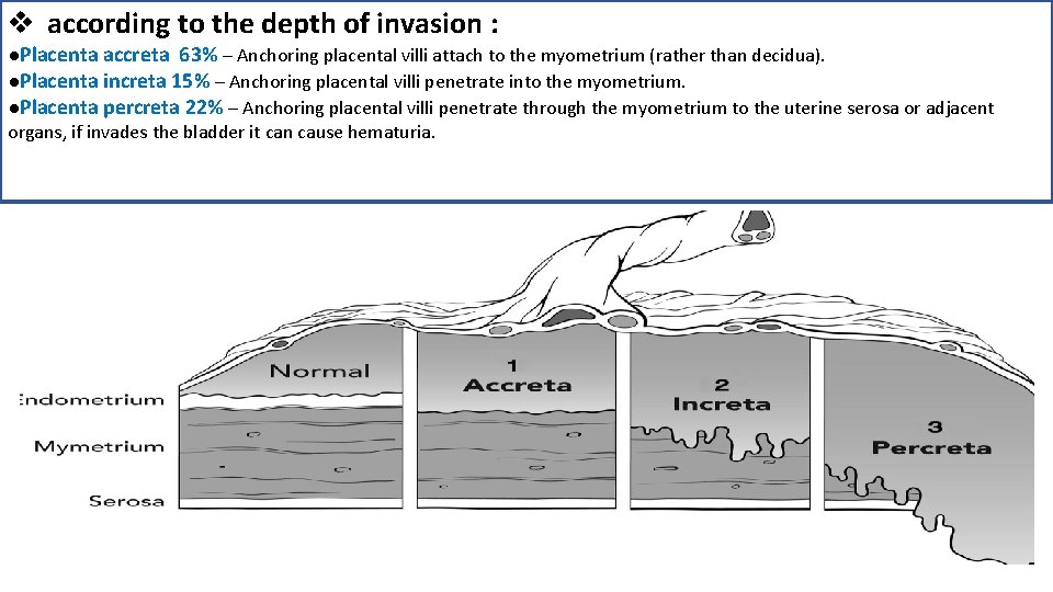 v according to the depth of invasion : ●Placenta accreta 63% – Anchoring placental