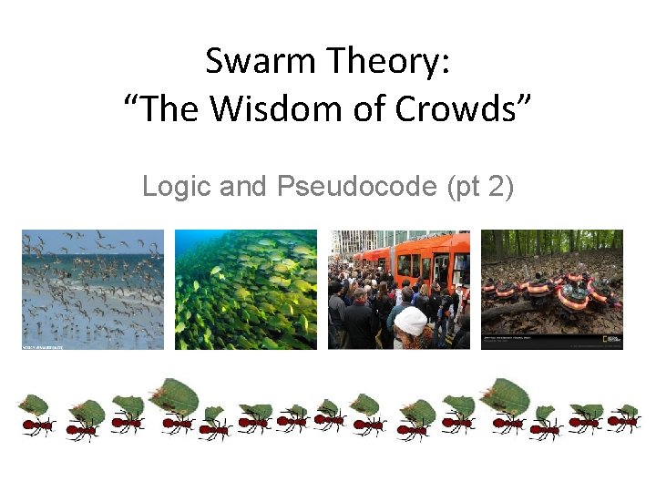 Swarm Theory: “The Wisdom of Crowds” Logic and Pseudocode (pt 2) 