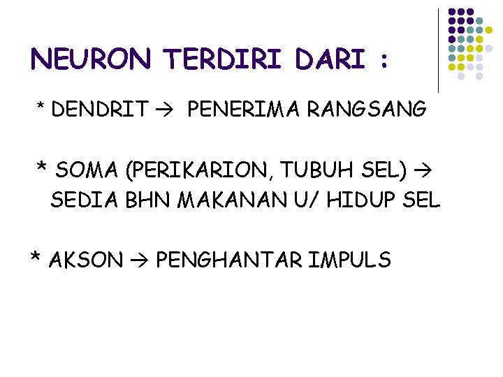 NEURON TERDIRI DARI : * DENDRIT PENERIMA RANGSANG * SOMA (PERIKARION, TUBUH SEL) SEDIA