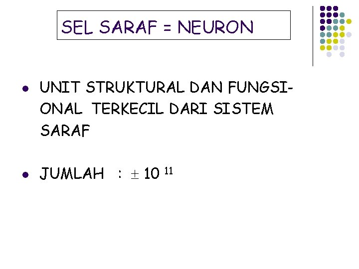 SEL SARAF = NEURON l l UNIT STRUKTURAL DAN FUNGSIONAL TERKECIL DARI SISTEM SARAF