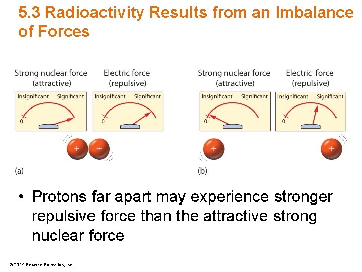 5. 3 Radioactivity Results from an Imbalance of Forces • Protons far apart may