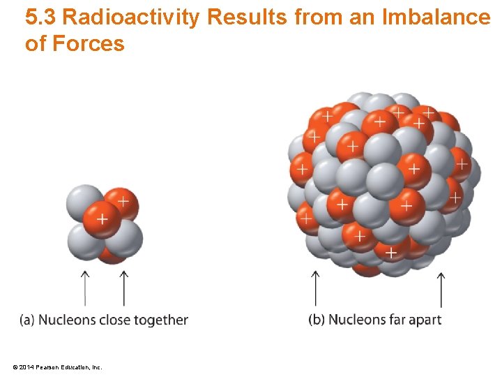 5. 3 Radioactivity Results from an Imbalance of Forces © 2014 Pearson Education, Inc.