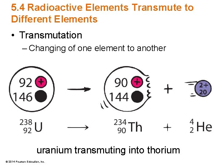 5. 4 Radioactive Elements Transmute to Different Elements • Transmutation – Changing of one