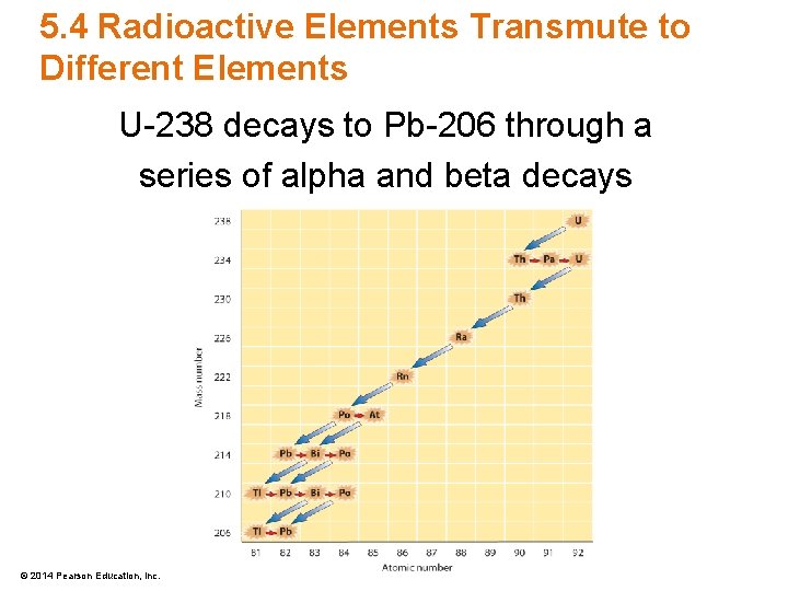 5. 4 Radioactive Elements Transmute to Different Elements U-238 decays to Pb-206 through a