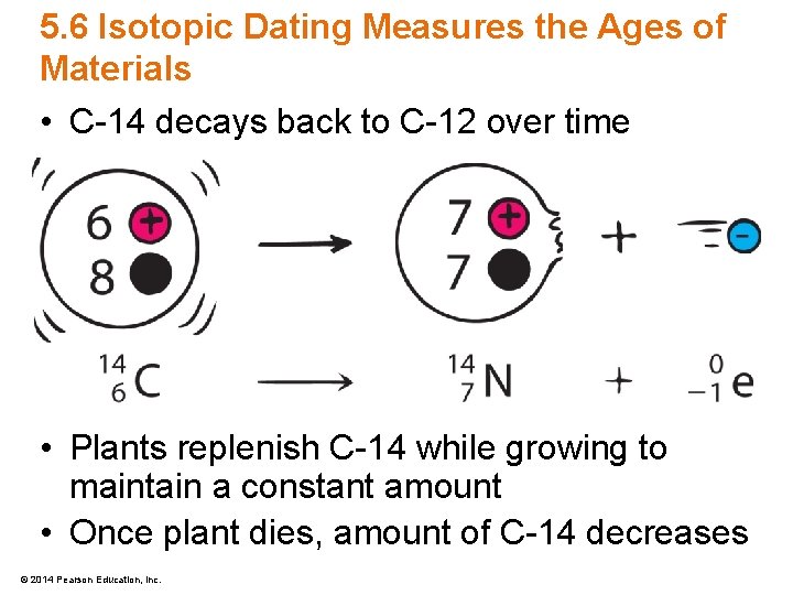 5. 6 Isotopic Dating Measures the Ages of Materials • C-14 decays back to