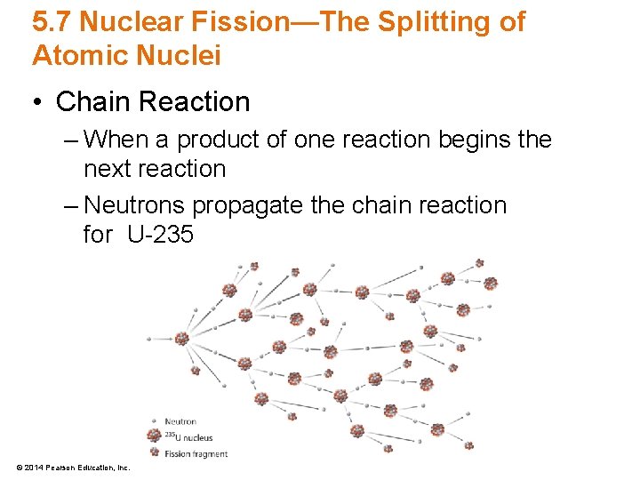 5. 7 Nuclear Fission—The Splitting of Atomic Nuclei • Chain Reaction – When a