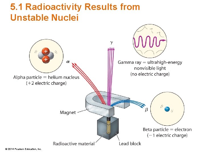5. 1 Radioactivity Results from Unstable Nuclei © 2014 Pearson Education, Inc. 