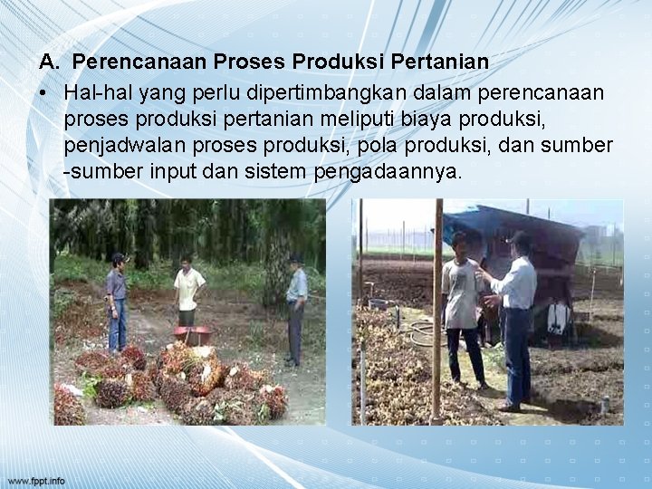 A. Perencanaan Proses Produksi Pertanian • Hal-hal yang perlu dipertimbangkan dalam perencanaan proses produksi