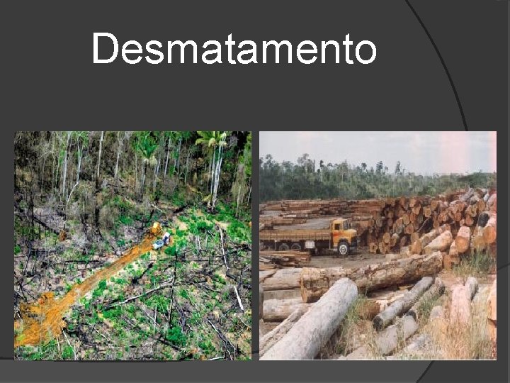 Desmatamento 