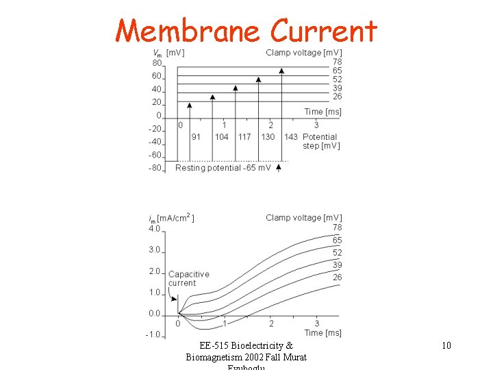 Membrane Current EE-515 Bioelectricity & Biomagnetism 2002 Fall Murat 10 