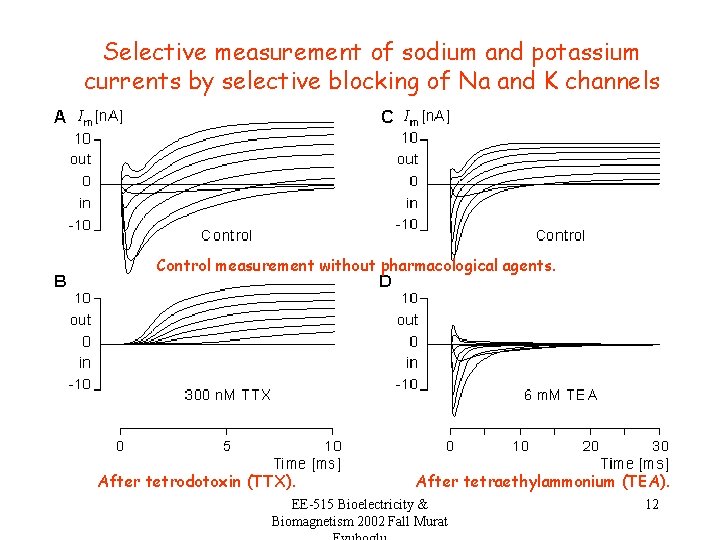 Selective measurement of sodium and potassium currents by selective blocking of Na and K