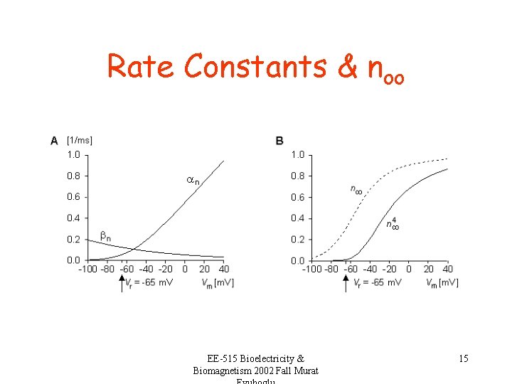 Rate Constants & noo EE-515 Bioelectricity & Biomagnetism 2002 Fall Murat 15 