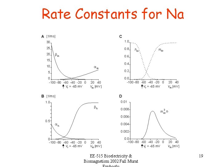 Rate Constants for Na EE-515 Bioelectricity & Biomagnetism 2002 Fall Murat 19 