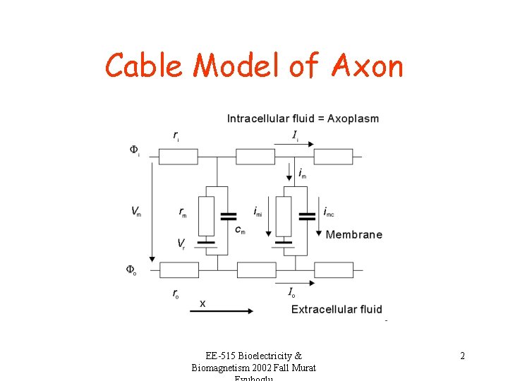 Cable Model of Axon EE-515 Bioelectricity & Biomagnetism 2002 Fall Murat 2 