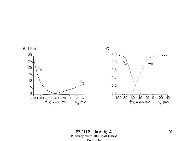 EE-515 Bioelectricity & Biomagnetism 2002 Fall Murat 20 