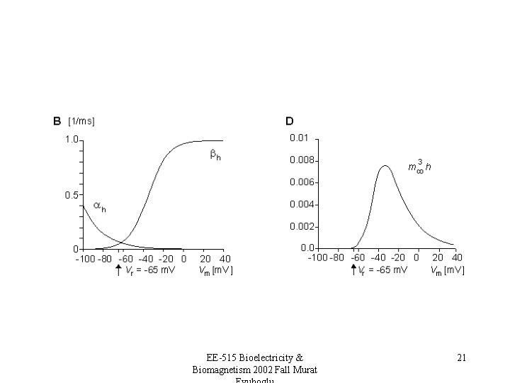 EE-515 Bioelectricity & Biomagnetism 2002 Fall Murat 21 