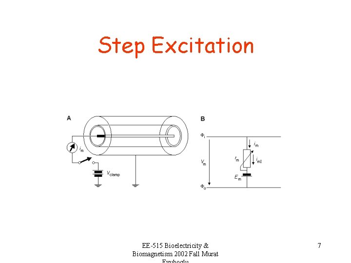 Step Excitation EE-515 Bioelectricity & Biomagnetism 2002 Fall Murat 7 
