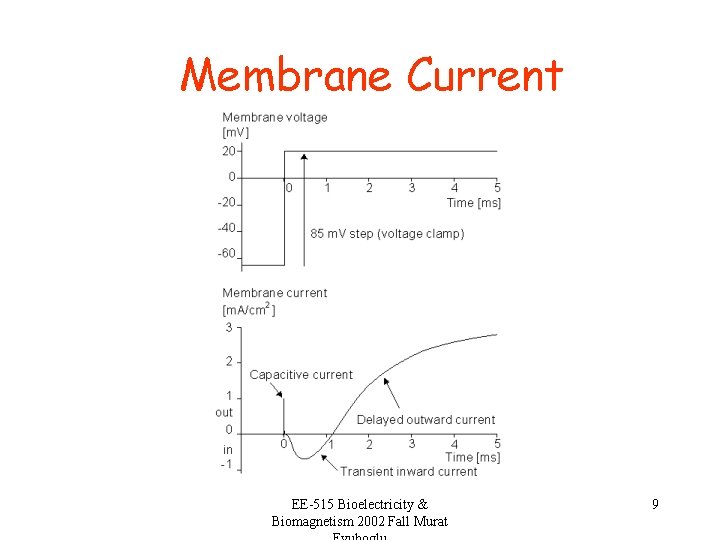 Membrane Current EE-515 Bioelectricity & Biomagnetism 2002 Fall Murat 9 