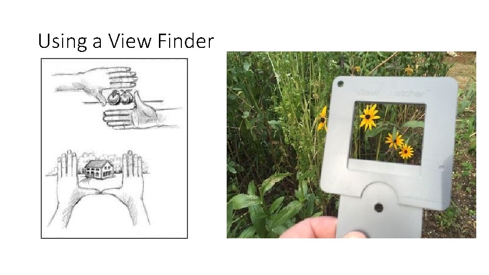 Using a View Finder 