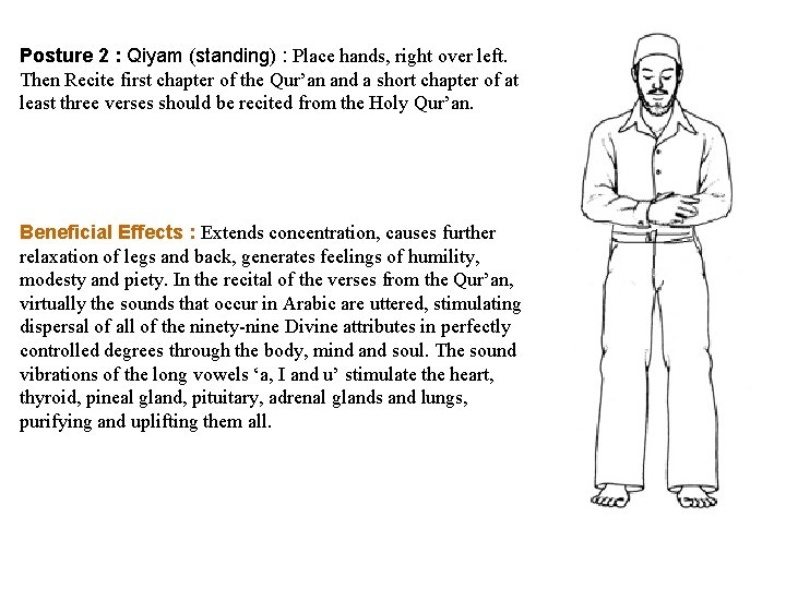Posture 2 : Qiyam (standing) : Place hands, right over left. Then Recite first