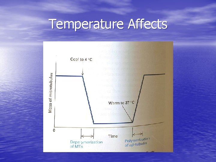 Temperature Affects 