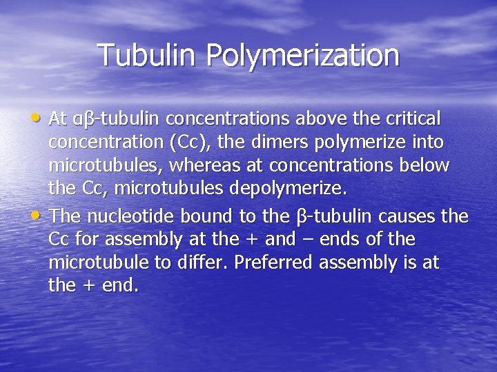 Tubulin Polymerization • At αβ-tubulin concentrations above the critical • concentration (Cc), the dimers