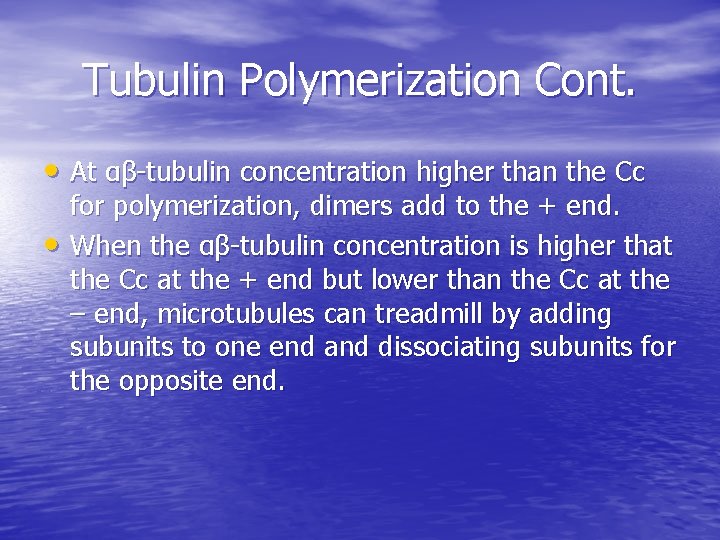 Tubulin Polymerization Cont. • At αβ-tubulin concentration higher than the Cc • for polymerization,