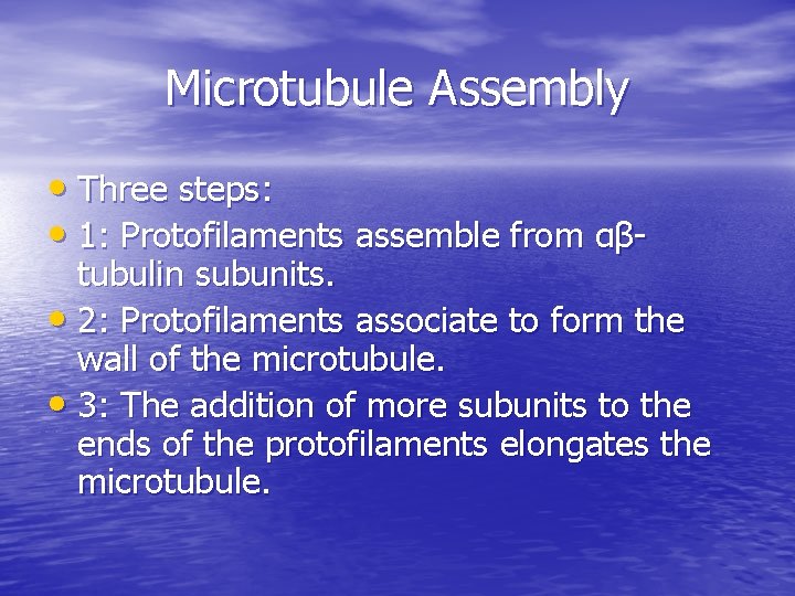 Microtubule Assembly • Three steps: • 1: Protofilaments assemble from αβ- tubulin subunits. •