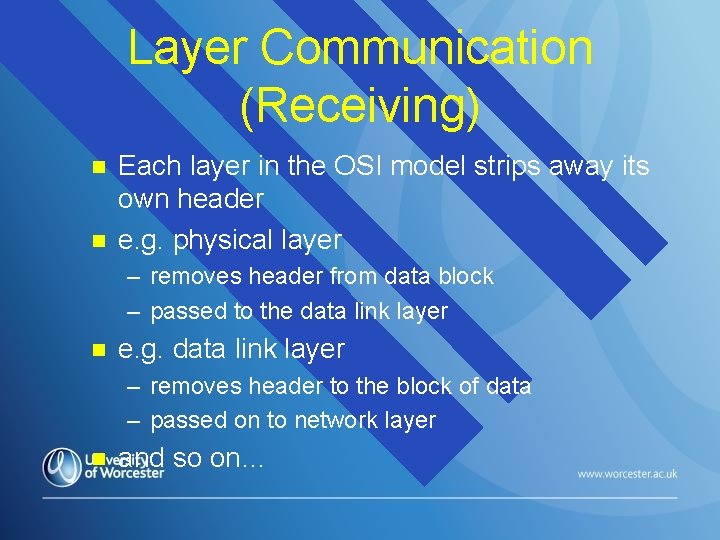 Layer Communication (Receiving) n n Each layer in the OSI model strips away its