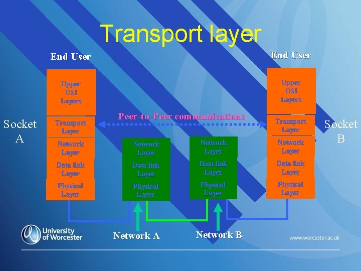 Transport layer Socket A End User Upper OSI Layers Transport Layer Peer-to-Peer communications Transport Transport layer Socket A End User Upper OSI Layers Transport Layer Peer-to-Peer communications Transport