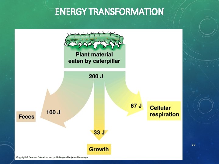 ENERGY TRANSFORMATION 12 