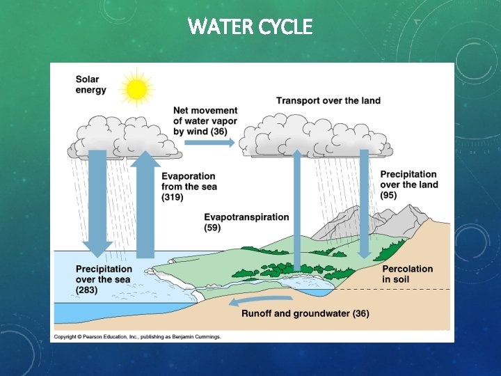 WATER CYCLE 16 