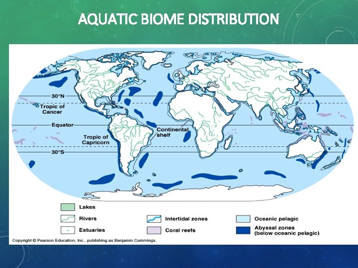 AQUATIC BIOME DISTRIBUTION 22 