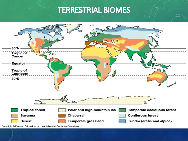 TERRESTRIAL BIOMES 28 