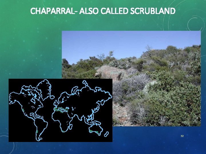 CHAPARRAL- ALSO CALLED SCRUBLAND 32 